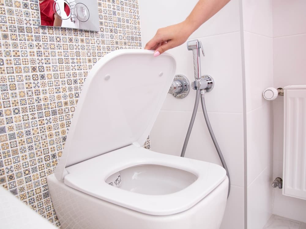 unclean toilet