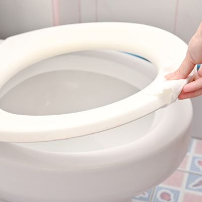 diseases from toilet seats